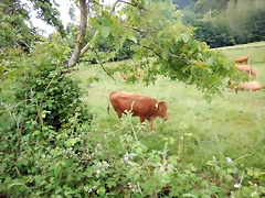 DSCN4571 DSCN4571