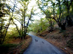DSCN7745 DSCN7745