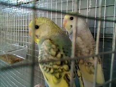 IMG_20170413_182152