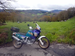 DSCN9501
