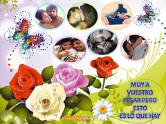 hym puro amor hym puro amor