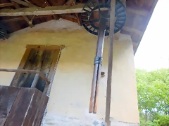 DSCN0686 DSCN0686