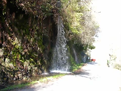 DSCN8018 DSCN8018