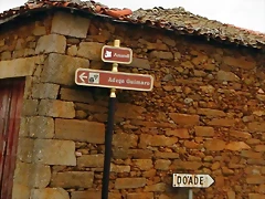 DSCN0243 DSCN0243