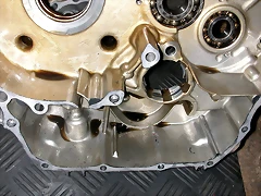 DSCN1605 DSCN1605