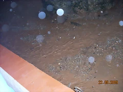 DSCN1121