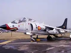 tav8s harrier matador