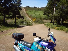 DSCN1149 DSCN1149