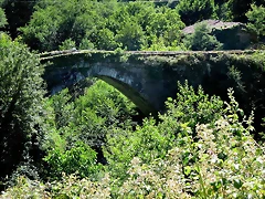 IMG_7540 IMG_7540