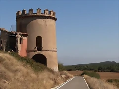 P9100012 P9100012