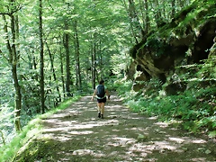 IMG_7154 IMG_7154