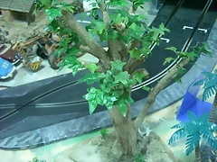 Arboles espesos 002 (Small)