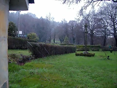 DSCN7451 DSCN7451