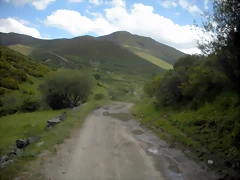 DSCN3985 DSCN3985