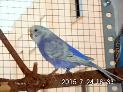 CIMG1403 CIMG1403