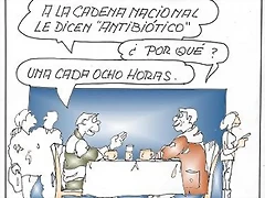 antib antib