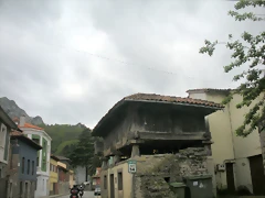 DSCN4800 DSCN4800