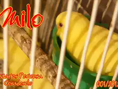 2012 001 MILO