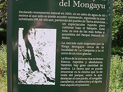 DSCN3811 DSCN3811