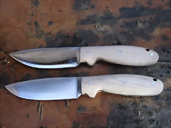 DSCF1333 DSCF1333
