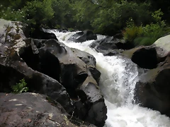 DSCN2758 DSCN2758