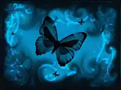 mariposas_blue