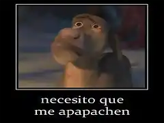 necesito_que_me_apapachen