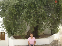 DSC00578 DSC00578