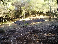 caldes24 caldes24