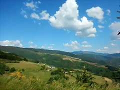 DSCN2397 DSCN2397