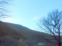 DSCN9120 DSCN9120