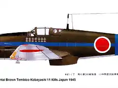 Artwork-Tony-Ki-61-244-Sentai-Brown-Tembico-Kobayashi-11-Kills-Japan-1945-0A