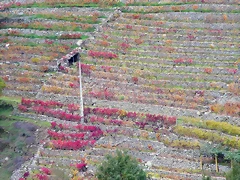 20-IMG_3869 20-IMG_3869