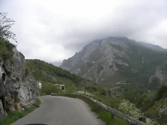 R0013091 R0013091