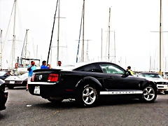 DSC_1363 DSC_1363