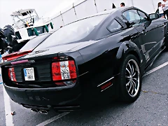 P5120234 P5120234