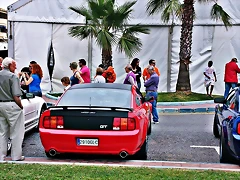 DSC_1334 DSC_1334