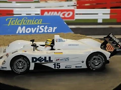 _DSC0799_348_532x353 _DSC0799_348_532x353