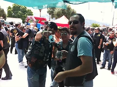 IMG_1533 IMG_1533