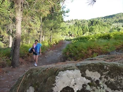 P1070317 P1070317