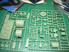 DSCN3525 DSCN3525