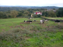 DSCN5340 DSCN5340