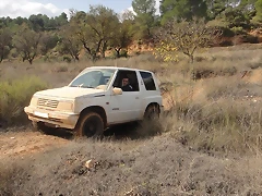 circuito 4x4 6