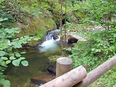 DSCN3747 DSCN3747