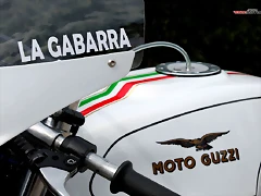 IMG_2382 IMG_2382