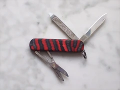 DSCF4551