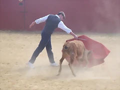 curso tauromaquia Marzo 2011 sevilla 193