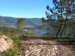49-IMG_4289 49-IMG_4289
