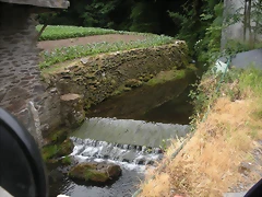 DSCN5672