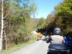 DSCN4450 DSCN4450